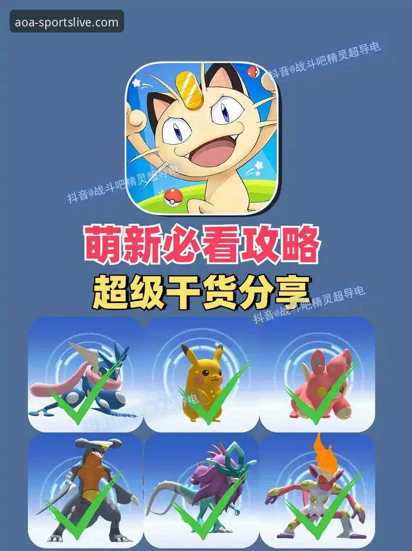 AOA体育官方下载链接攻略详解——从安装到安全使用的完整指南
